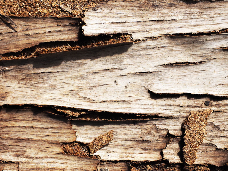 wood, rough, bark, outdoors, log, wood - material, grain, old wood, texture, board, stack, grunge, environment, still life, wood texture background, surface