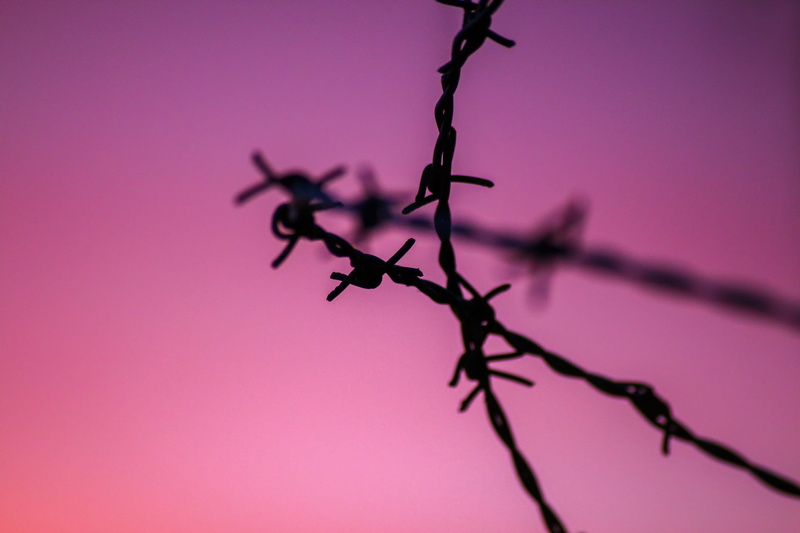 nature, bent, backlighting, silhouette, decoration, protection, metal, emotions, purple, 5K, evening, pink color, creativity, pointed, shut off, sky, border