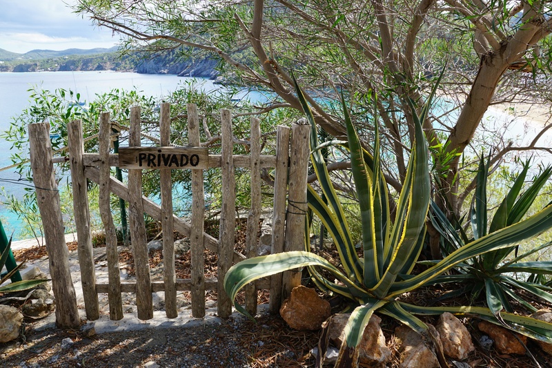 tree, land, growth, plant, western script, wooden, shut off, beside, closed, beauty in nature, text, nature, outdoors, railing, tree trunk, sea, fence