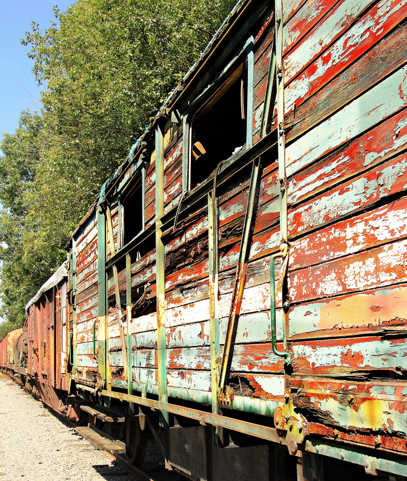 abandoned, wreck, shut down, old, obsolete, weathered, transportation, trees, railroad track, train cemetery, wagon, turned off, land vehicle, train - vehicle