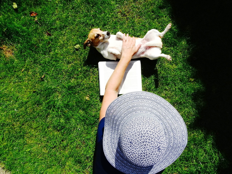 rear view, canine, person, plant, in blue, animal, 2K, pets, nature, pet owner, pats, dogs, outside, green Color, mammal, adult, day, one animal, green