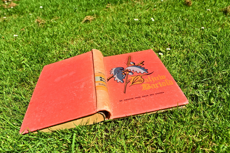 novel, field, facedown, book in the grass, close-up, information, literature, growth, communication, read, text, publication, land, title, outdoors, nature