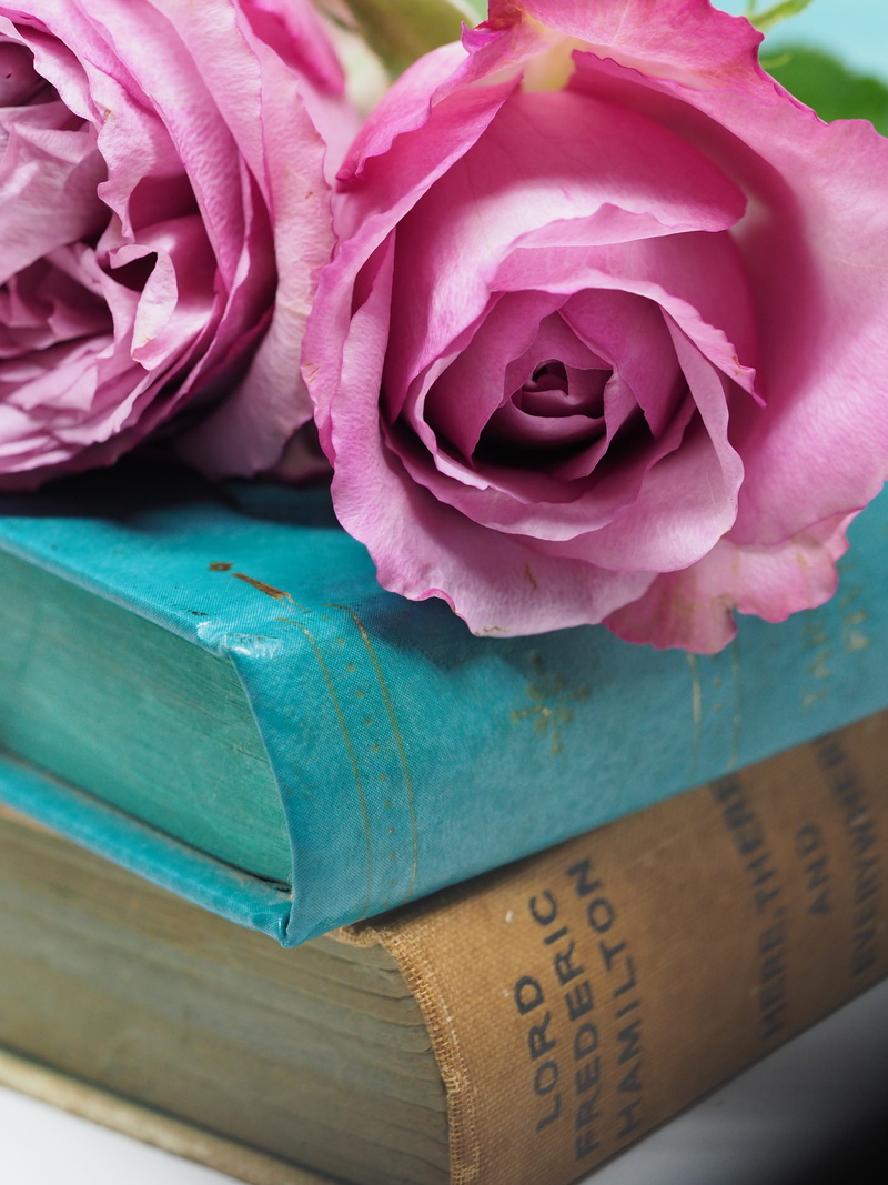 sweet, decoration, hardbound, book, books, indoors, book bindings, petals, flowering plant, vulnerability, flowers, pink, blue, freshness, valentine, pink color