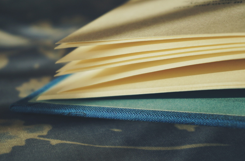 expertise, stack, still life, bookshelves, yellow, focus, close-up, pages, book, open book, blur, 4K, cover, page, open, education, indoors, book pages