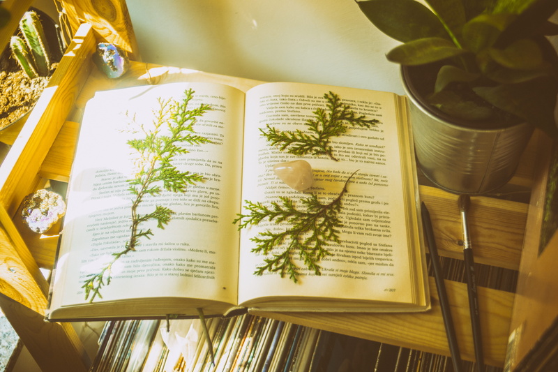 leaf, book, plant, education, communication, publication, nature, book bindings, no people, table, 5K, literature, indoors, high angle view, potted plant