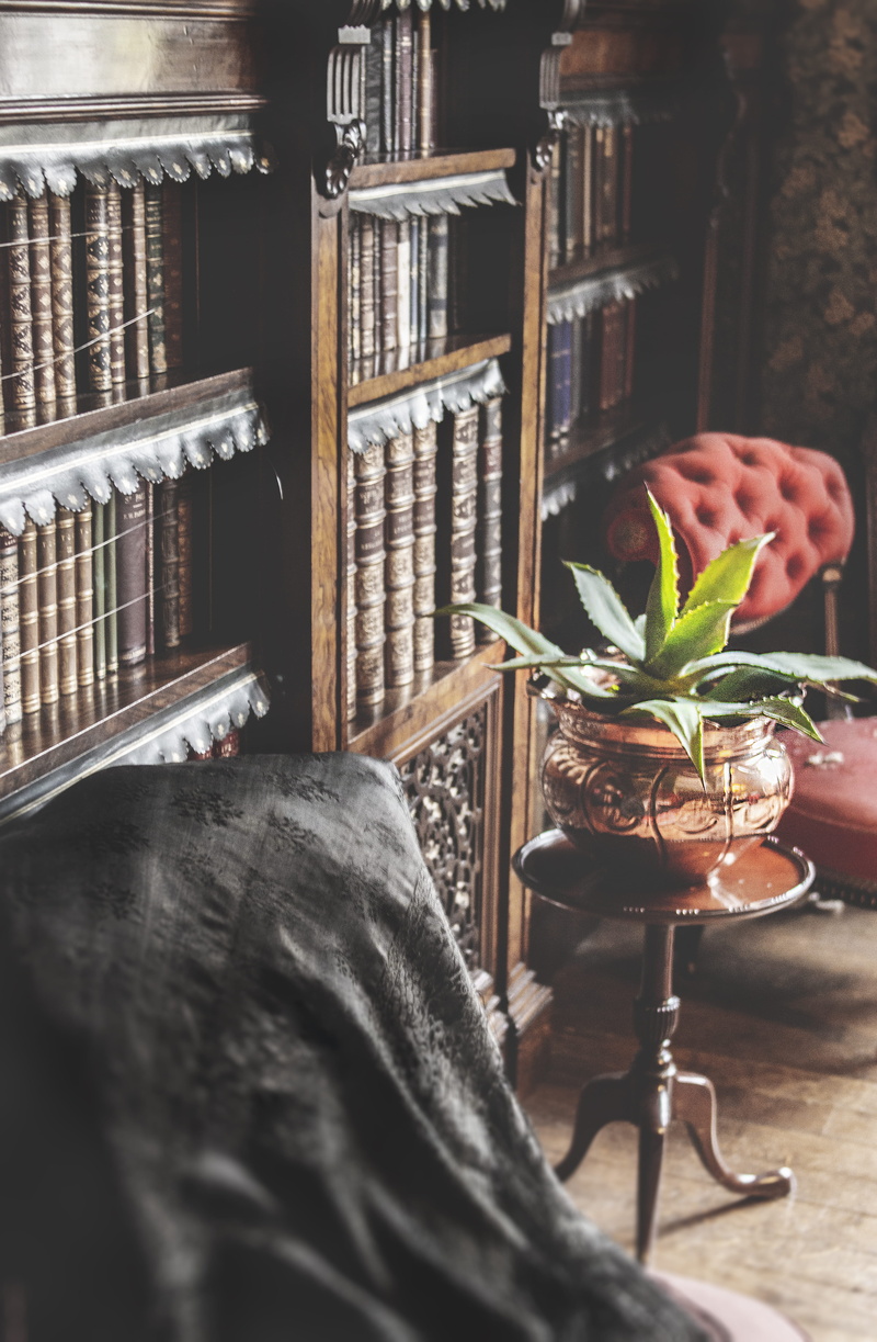 refreshment, close-up, vintage, food and drink, arrangement, bookshelf, freshness, interior design, table, human hand, leafed, one person, green, still life