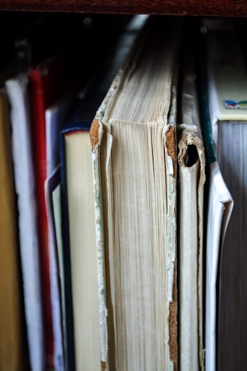 old books, pages, indoors, filed, paper, selective focus, variation, large group of objects, in a row, publication, garment, 4K, no people, choice, photo