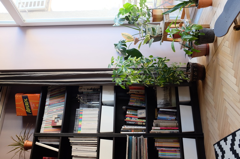 retail, plants, beside, choice, variation, text, arrangement, shelf, for sale, book, communication, 4K, growth, retail display, indoors, still life, no people