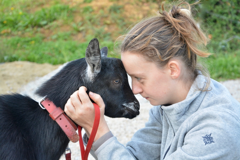 profile view, feelings, hug, tenderness affection, young girl young woman, domestic animals, complicity, 5K, goat, domestic animal, teenager, dog, one animal