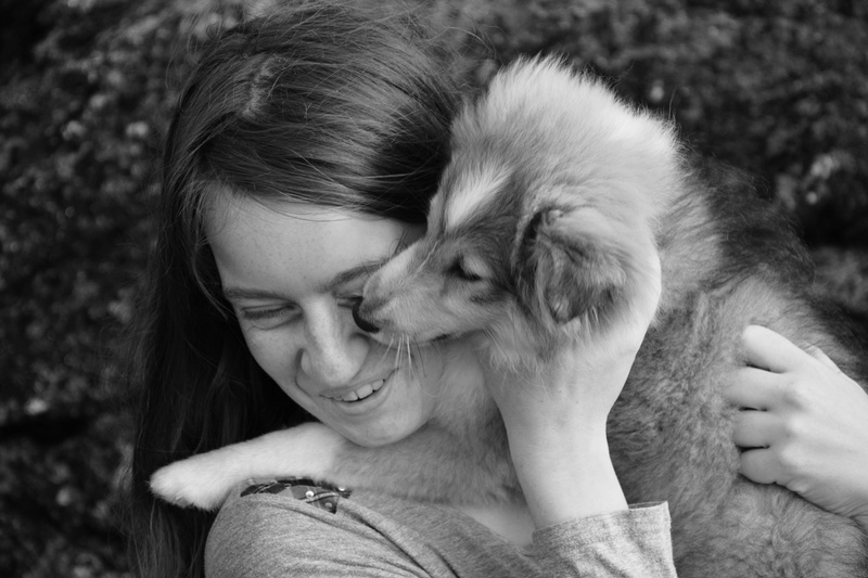 holding, mammal, kiss, kisses dog, smiling, hugging, photo, embracing, female, pet, headshot, pet owner, tenderness, one animal, 5K, women, domestic, pup
