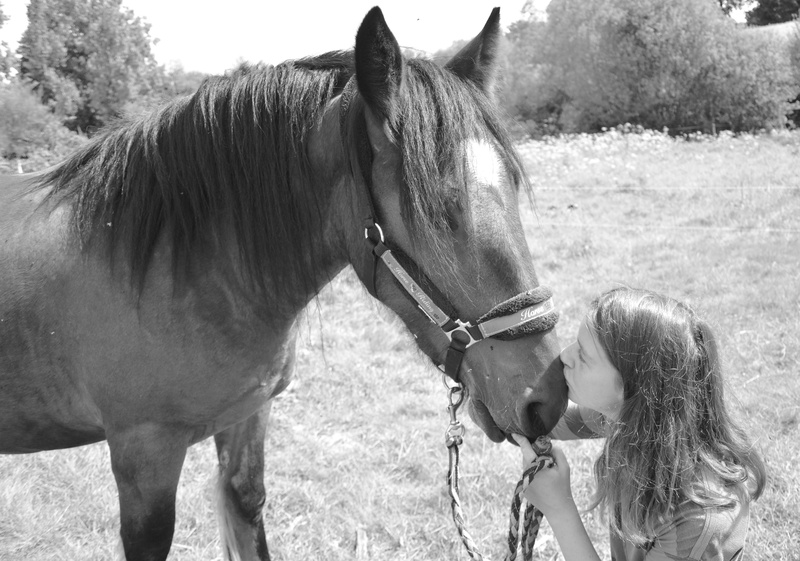 animal wildlife, domestic, plant, kiss horse, woman, domestic animals, livestock, kiss, field, tenderness, herbivorous, 5K, pets, child, horse, day, vertebrate