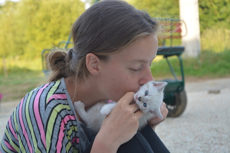 headshot, focus on foreground, hairstyle, kitten, childhood, pets, girl, holding, female, pet owner, tenderness, domestic animals, cat blue eyes, females
