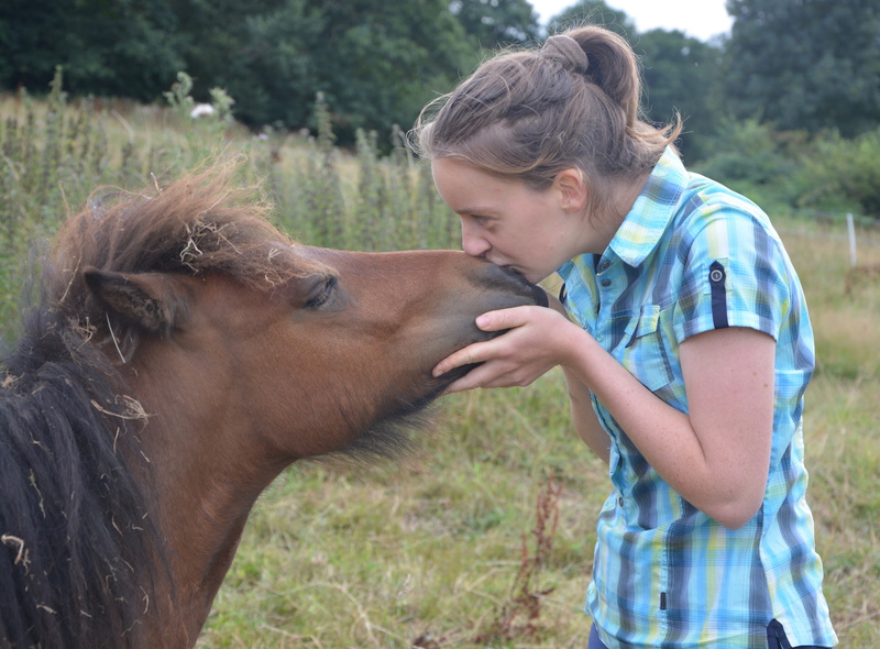 land, mammal, herbivorous, animal, one animal, pets, field, real people, positive emotion, domestic animals, 5K, kiss, vertebrate, one person, young adult