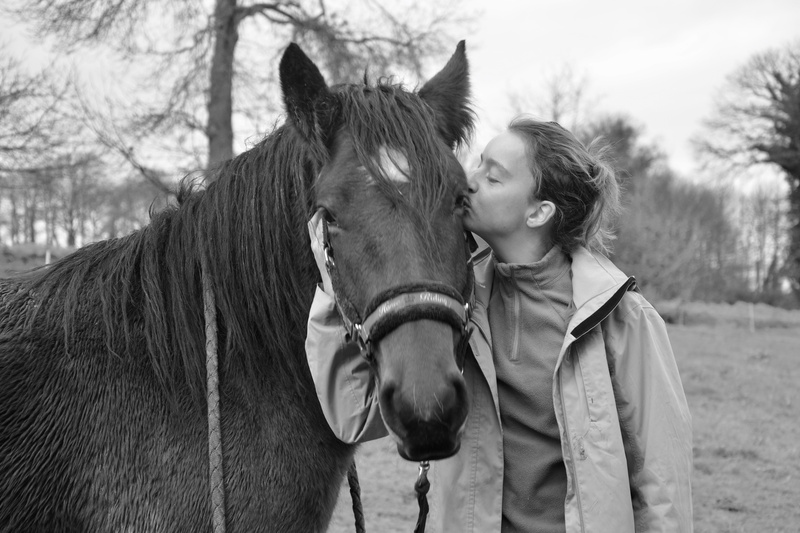 domestic, animal wildlife, standing, livestock, kiss horse, lifestyles, friendships, outdoors, day, mammal, young girl horse, tenderness, vertebrate, complicity