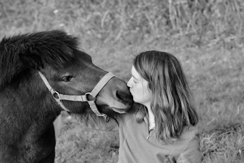 mammal, females, friendships, domestic, girl pony, shetland pony, outdoors, happy, one animal, day, field, moment of happiness, love, complicity, kisses
