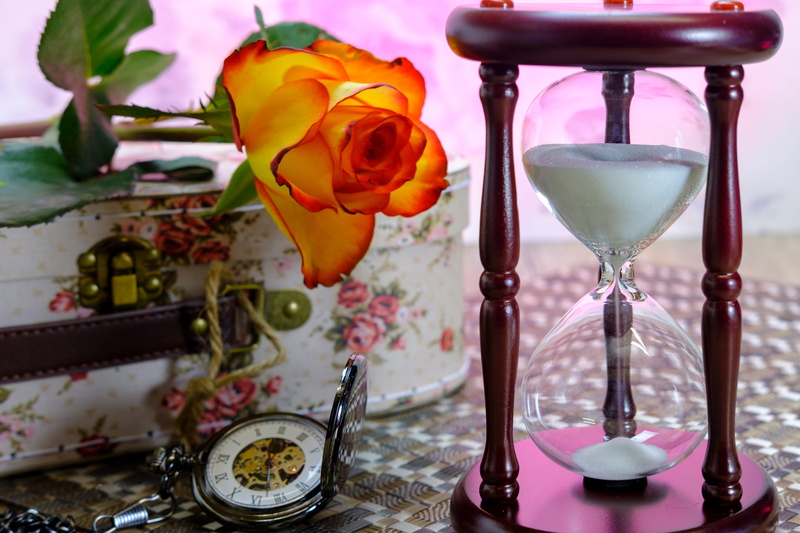 glass, clear, flowering plant, no people, beauty in nature, nature, wait, love, close-up, romance, blossom, electric lamp, egg timer, rose, affection, instrument of time