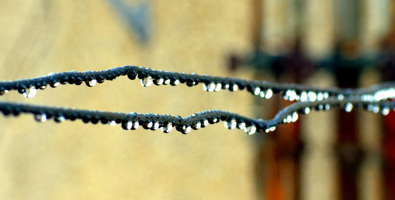 raindrops, no people, nature, water, chain, wire, security, safety, black color, an array of drops, boundary, close-up, focus on foreground, metal, barrier