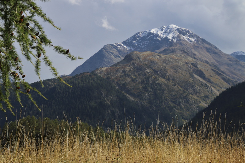 rocks, mountain range, meadow, mountain, dry grass, tranquility, 5K, no people, sky, the stage, the prospect of, the alps, array, tree, tranquil scene