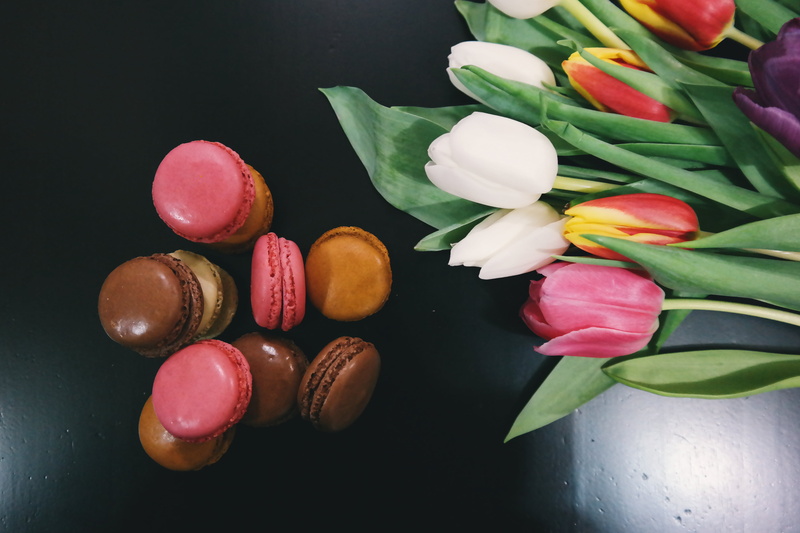 petal, plant part, pink color, macaroons, temptation, leaf, freshness, tulips, pink, beauty in nature, black background, french, nature, high angle view