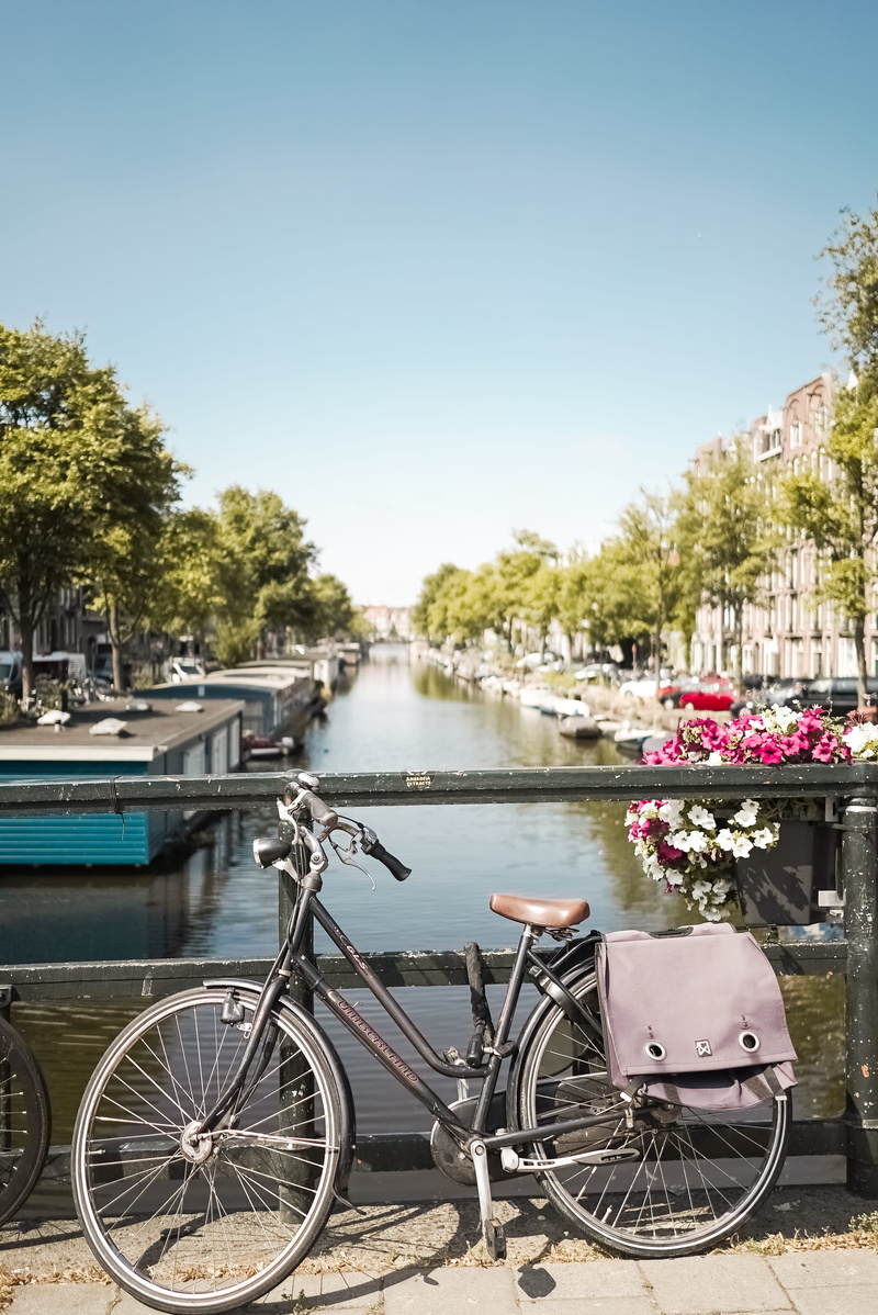 tree, outdoors, netherlands, plant, wheel, mode of transportation, human, europe, flower arrangement, railings, machine, vehicle, commuter, channel, flower