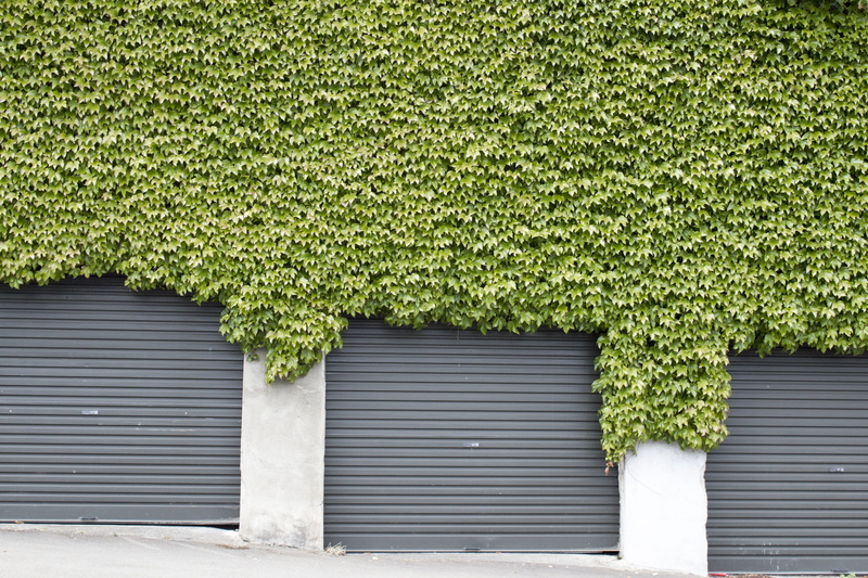 geranium, building exterior, garden, garage, flower, growth, shutter, ivy, creeper plant, door, window, built structure, 4K, architecture, roll, transportation