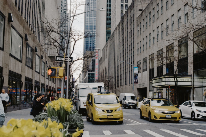 motor vehicle, car, incidental people, human, truck, office building exterior, traffic light, blossom, automobile, built structure, transportation, city street