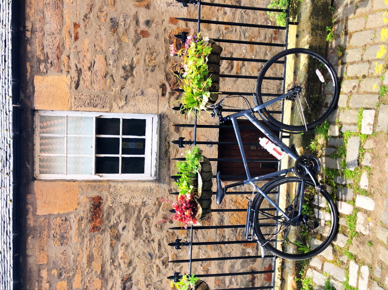 vehicle, window box, window, transportation, path, potted plant, wall - building feature, bike, architecture, blossom, nature, no people, edinburgh, flower arrangement