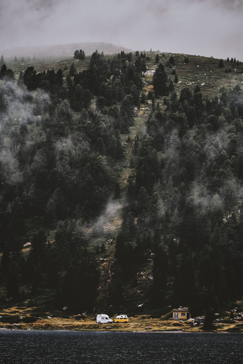 road, tall, pine, tree, day, environment, scenics - nature, no people, water, transportation, nautical vessel, trees, weather, abies, art, cloud - sky