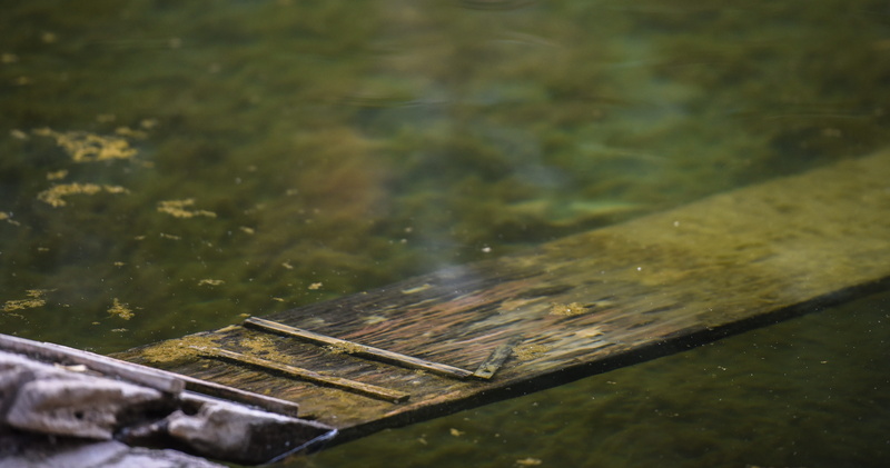 work tool, iran, close-up, selective focus, tehran, high angle view, no people, marsh, equipment, motion, water, damavand, metal, reflection, wet, moss on the water