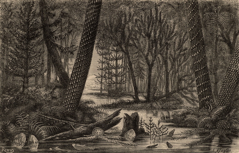 E. Meunier, sepia, 1080P, landscape, nature, plants, water, river, monochrome, Jungle, Trees, Engraving, Prehistoric