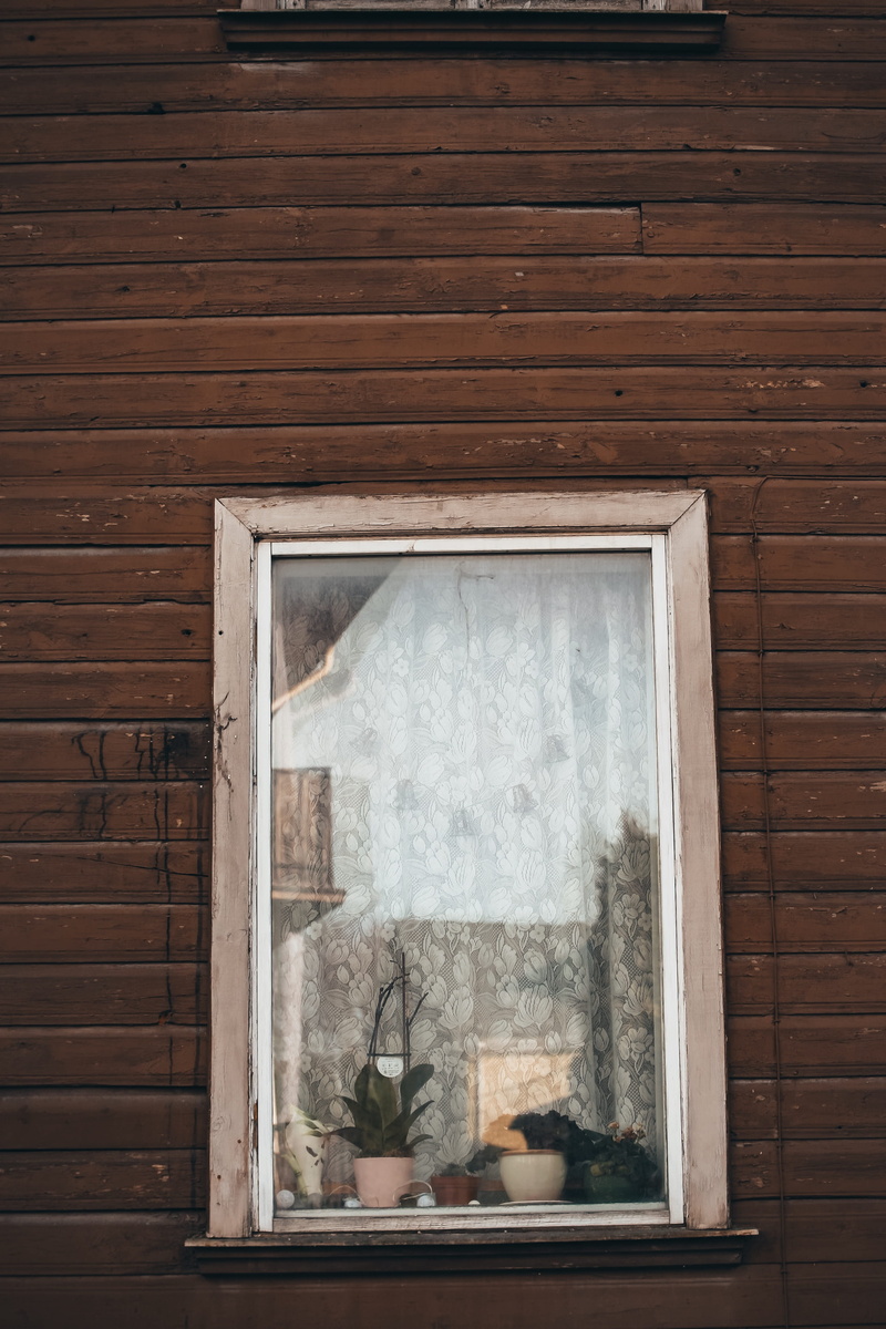 wall - building feature, old, ice, wood - material, sliding door, home decor, wall, flower, day, blossom, sleeve, reflection, plants, built structure, glass - material