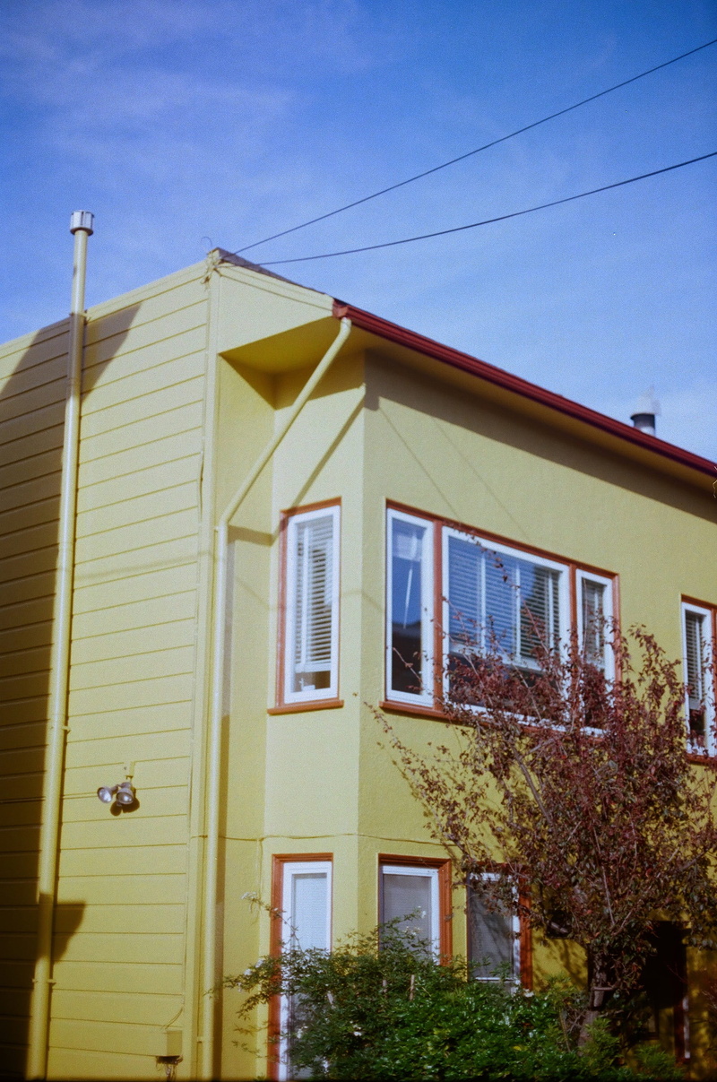 villa, siding, city, blue, built structure, outdoors, window, shutter, facade, plant, nature, sky, tree, neighborhood, home, building exterior, housing
