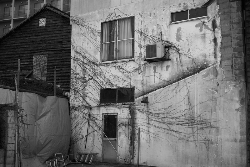 rural, handrail, old, building exterior, building, concrete, apartment, no people, countryside, damaged, obsolete, outdoors, weathered, plant, house, architecture