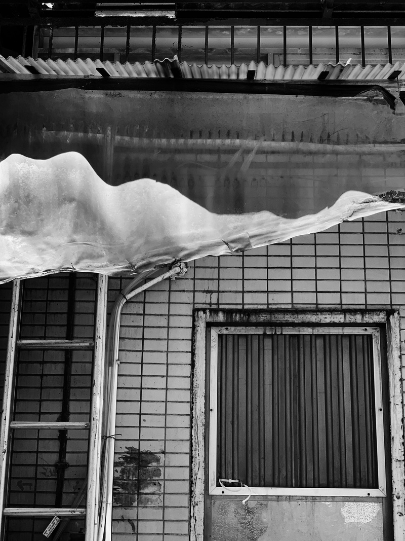 nature, 152～158 third st, hong kong, house, home decor, canopy, weather, apparel, window, curtain, brick, blizzard, handrail, architecture, vertebrate