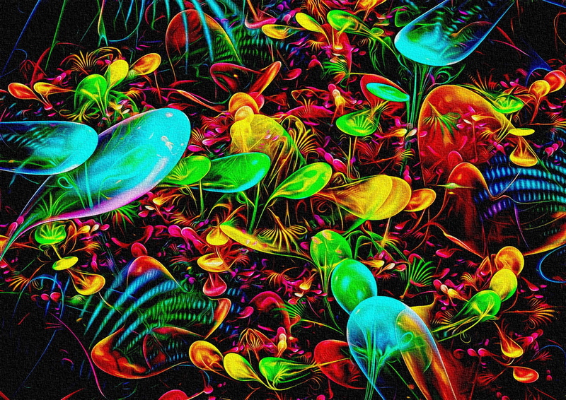 palette, abstraction, canvas, fractals, picture, line, drops, bizarre, black background, texture, acrylic paint, figure, 1080P, bright colors, fantasy