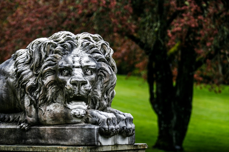 nature, representation, creativity, grass, symbol, architecture, park - man made space, 2K, statue, head, monument, close-up, male likeness, focus on foreground