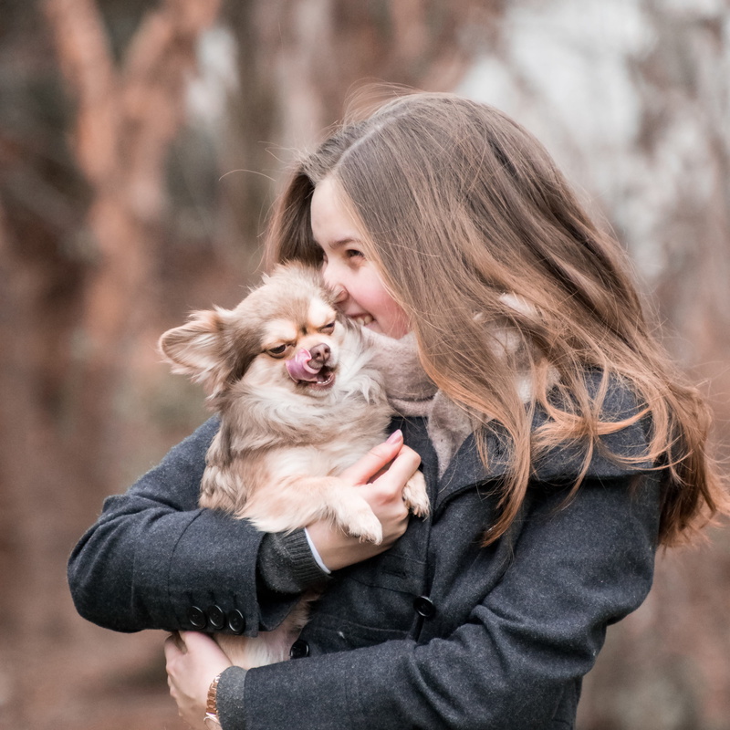 autumn, pets, embrace, hair, love, hairstyle, animal, small, snuggle, care, friendship, bonding, 4K, positive emotion, dog, domestic animals, one animal