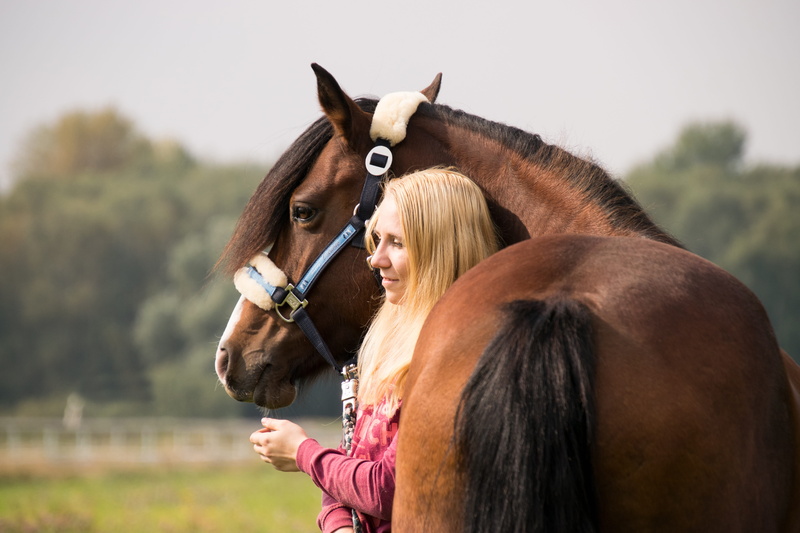 animal wildlife, connectedness, human, hair, mammal, 5K, hairstyle, women, herbivorous, woman, girl, outdoors, bridle, pets, trust, field, friendship