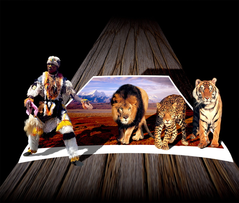 canine, one animal, wild, dangerous, pets, domestic, indoors, domestic animals, table, sitting, man, mammal, full length, 2K, animals, felines, representation