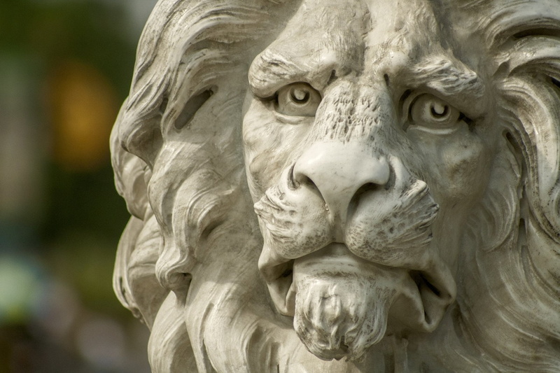 Man Made, 1080P, Close-Up, Lion, Statue