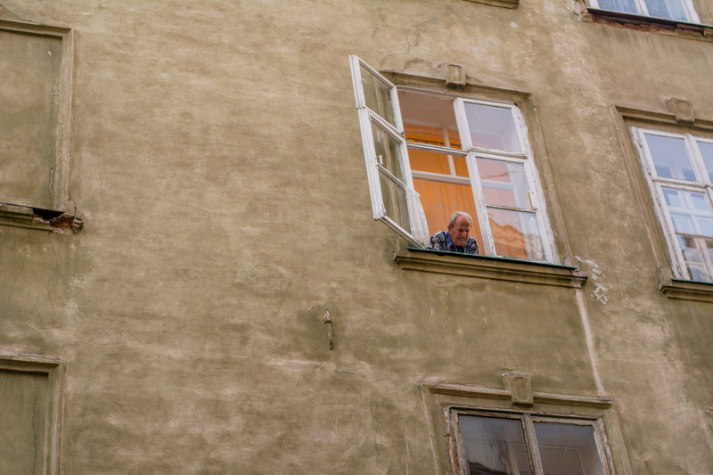 the old man, lions, Windows, architeccture, 5K, grandfather, Ukraine, tourism, from the window