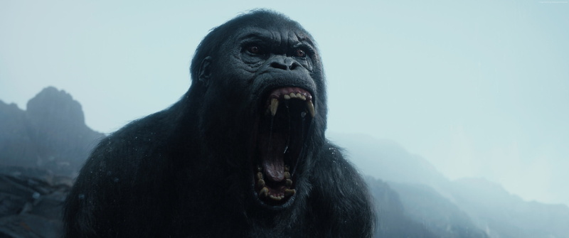 The Legend of Tarzan, best movies 2016, gorilla, 4K