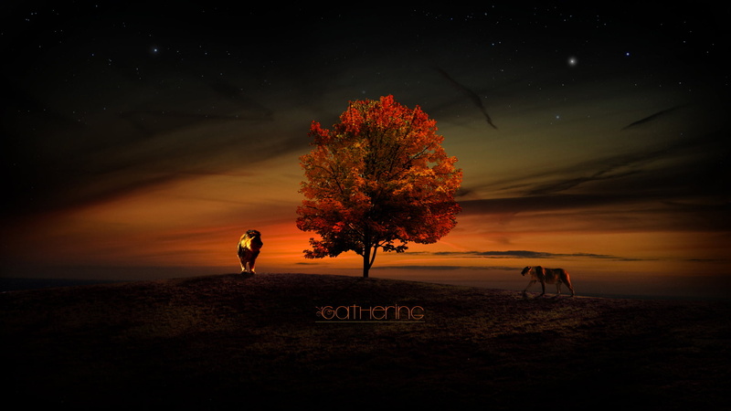 landscape, sun, leafed, 1080P, Leo, summer, sunlight, the sky, night, young Adult, lifestyles, star - space, nature, stars, sport, tranquil scene, change