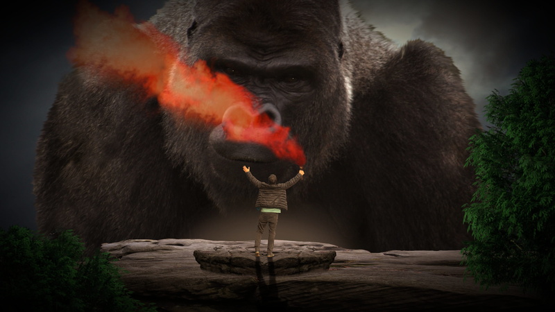 film, king kong, heat - temperature, black background, outdoors, one animal, fire - natural phenomenon, animal wildlife, man, no people, primate, jungle