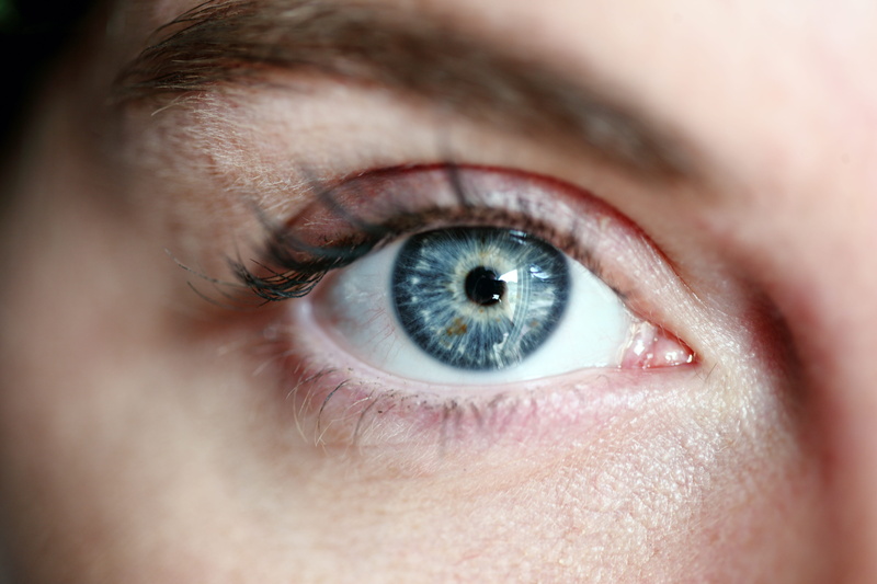 eye, young adult, see, iris - eye, human eye, eyesight, portrait, beautiful woman, close-up, eye lashes, female, blue eyes, 5K, vision, human body part