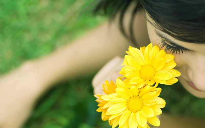 freshness, lifestyles, chamomile, plant, selective focus, inflorescence, growth, flowering plant, flower, lashes, nature, vulnerability, one person, grass