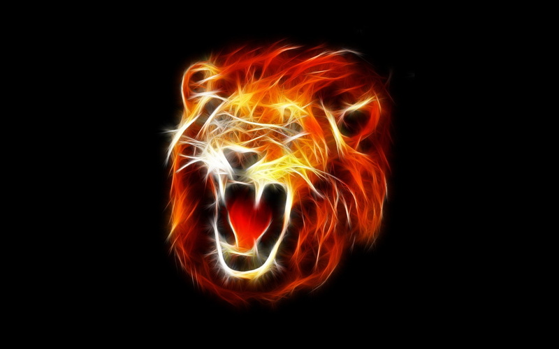 inferno, studio shot, lion, burning, orange color, heat - temperature, sign, glowing, no people, dark, creativity, Roar, warning sign, black background