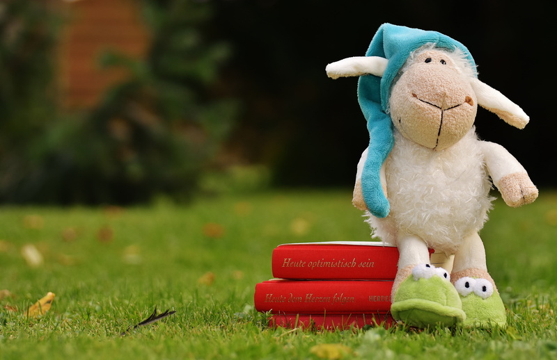 white, meadow, red, travel, books, cuddly, plant, human representation, read, emotion, 5K, plush, mammal, gift, good night story, stuffed toy, fluffy