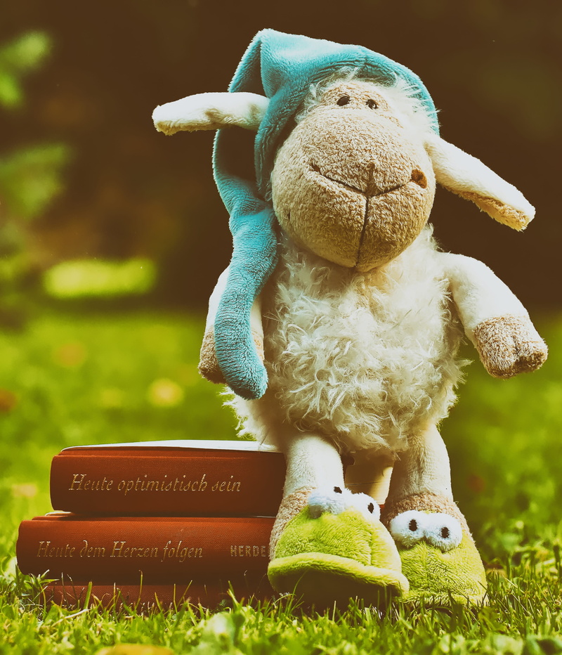 meadow, toy, soft toy, cuddly, stuffed animal, mammal, funny, read, toys, fluffy, still life, 2K, teddy bear, outdoors, sleepyhead, representation, cute