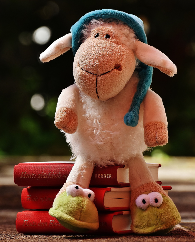 focus on foreground, stuffed toy, toy animal, indoors, cuddly, no people, craft, close-up, fluffy, softness, sweet, books, sleepyhead, read, human representation